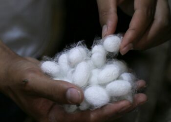 Top 10 Natural Silk Producing and Exporting Countries in the World | Economy