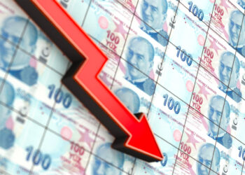 Turkish lira falls to new record low against dollar | Economy