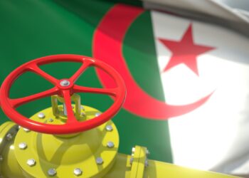 What do you know about the gas sector in Algeria? | Economy