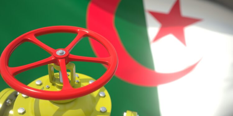 What do you know about the gas sector in Algeria? | Economy