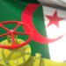 What do you know about the gas sector in Algeria? | Economy