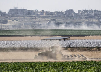 Newspaper: Israel stops importing fruits and vegetables from Jordan | Economic News