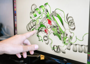 3D shapes of viral proteins reveal previously unknown roles