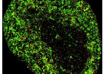 AI detects cancer and viral infections with nanometer precision