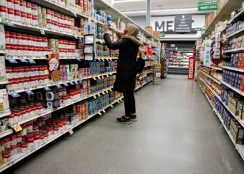 America.. What will the CPI report say? | Economy