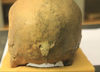 Among Viking societies, Norway was much more violent than Denmark.