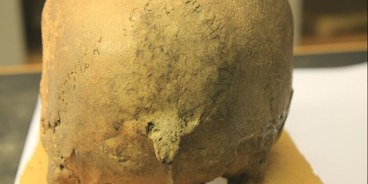 Among Viking societies, Norway was much more violent than Denmark.