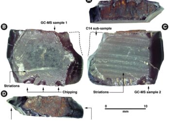 Ancient tree resin artifacts provide earliest known evidence of human dispersal across the Pacific
