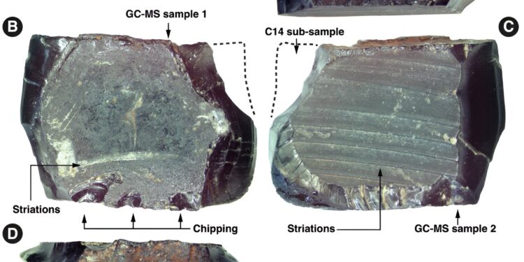 Ancient tree resin artifacts provide earliest known evidence of human dispersal across the Pacific