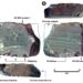 Ancient tree resin artifacts provide earliest known evidence of human dispersal across the Pacific