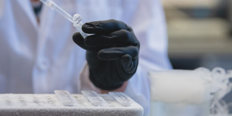 Cancer drug could treat early-stage Alzheimer’s, study finds