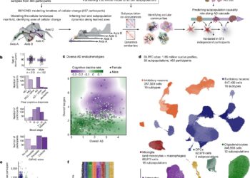 Cell community in brain drives Alzheimer’s disease, large-scale analysis reveals