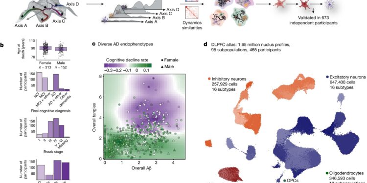 Cell community in brain drives Alzheimer’s disease, large-scale analysis reveals