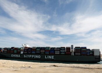 China-Africa trade volume rises in first half of 2024 | Economy News