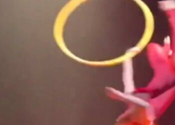 Cirque du Soleil: an acrobat falls during a show in Oregon