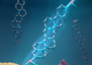 Controlling Molecular Electronics with Rigid Ladder-Like Molecules