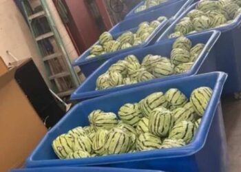 Customs officers discover nearly $7 million worth of methamphetamine disguised as watermelons