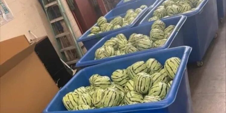 Customs officers discover nearly $7 million worth of methamphetamine disguised as watermelons