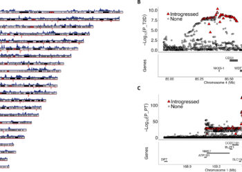 DNA study challenges thinking about ancestry of Japan’s people