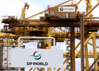 DP World profits plunge 59% in H1 on Red Sea crisis | Economy
