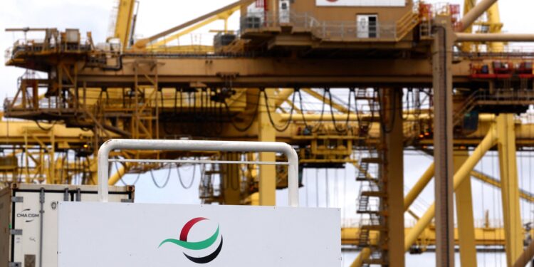 DP World profits plunge 59% in H1 on Red Sea crisis | Economy