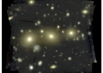 Dark matter and stars do not interact as previously thought