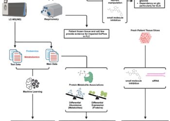 Deadly liver cancer alters cell metabolism to promote growth, study finds