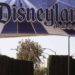 Death at theme park: Disney wants to dismiss lawsuit because widower was a Disney Plus subscriber