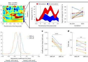 Deep brain stimulation study models impulsivity and risk aversion