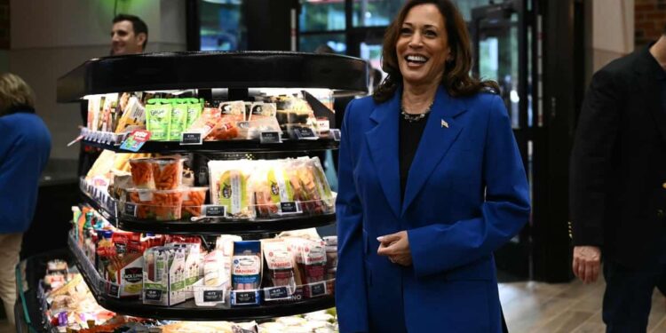 Democratic convention eve: Kamala Harris campaigns in key Pennsylvania state