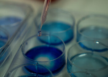 Discovery of new TNIP1 gene mutation offers new hope for disease that can lead to blindness