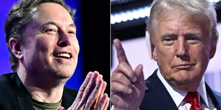 Donald Trump and Elon Musk fraternize in exchange marked by ‘cyberattack’