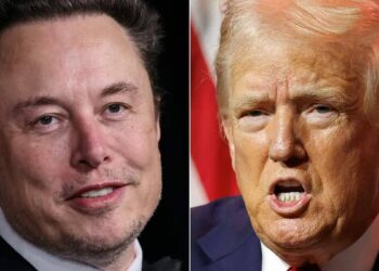 Donald Trump and Elon Musk: the petticoat is showing
