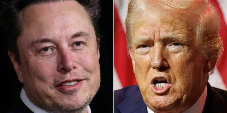 Donald Trump and Elon Musk: the petticoat is showing
