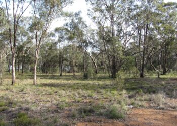 Ecosystem study finds that the higher the environmental stress, the lower the resistance to global change