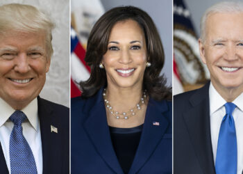 Election Campaigns: The Power of Political Money Threatens American Pluralism | Economy