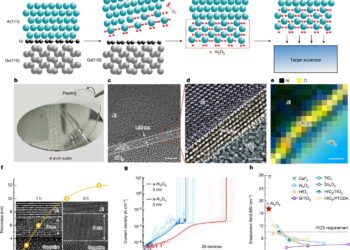 Engineers Develop New Low-Power Two-Dimensional Field-Effect Transistor