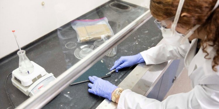 Evidence Mounts for Toxic Books Containing Dyes