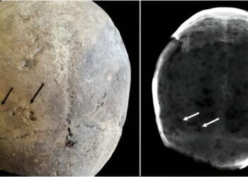 Evidence of cocaine use by Europeans dates back to the 17th century.