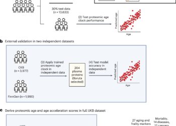 Experimental blood test predicts age-related disease risk in diverse populations