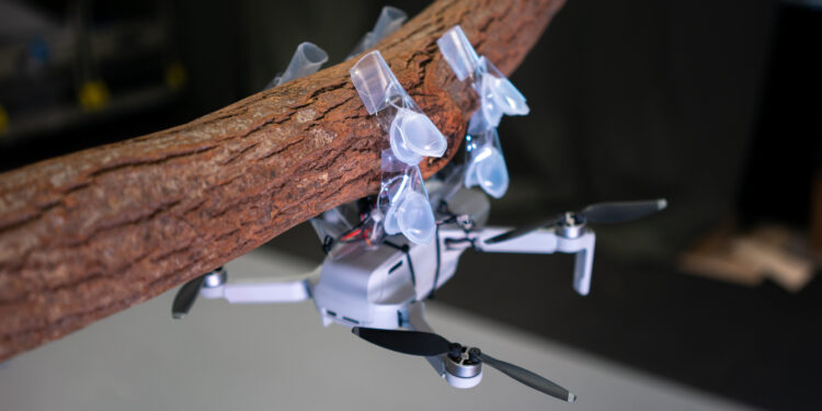 FiBa Transformative Soft Actuators Pave the Way for Future Soft Robotics