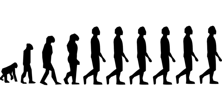 Fossil deposits in Africa obscure fuller picture of human evolution, study finds