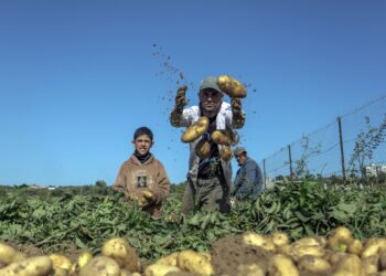 “Green Resistance” is a Jordanian association that supports Gaza in its own way | Economy