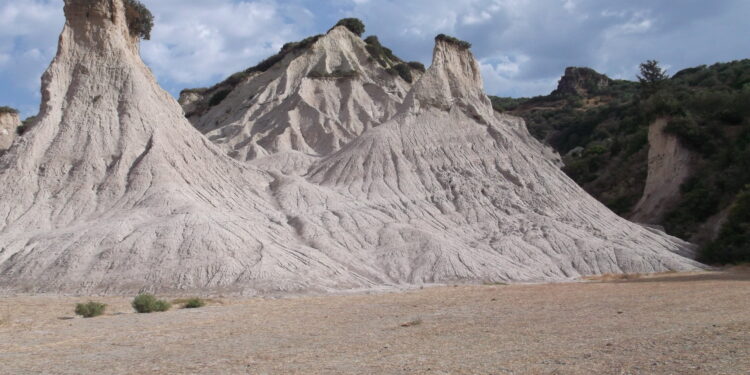 How a salt giant radically reshaped Mediterranean marine biodiversity