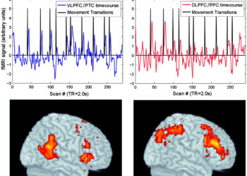 How our brain goes beyond musical boundaries