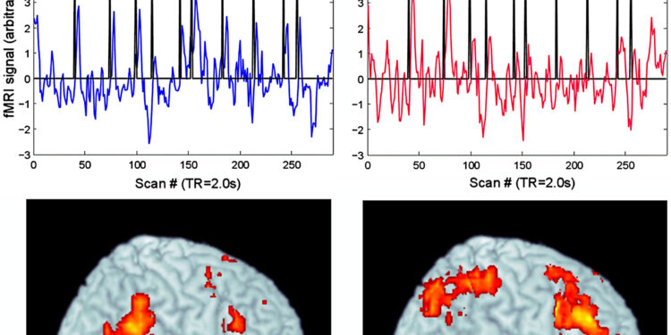 How our brain goes beyond musical boundaries