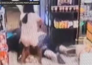 ‘I’m so proud of her’: 8-year-old girl hits robber with baseball bat