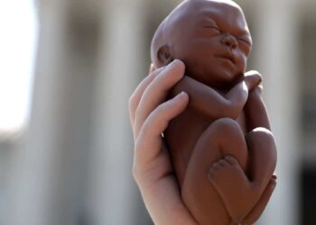 In Arizona, fetus will be referred to as “unborn human being” on ballots