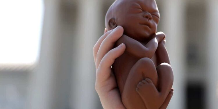 In Arizona, fetus will be referred to as “unborn human being” on ballots