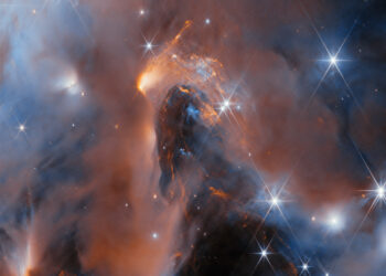In six new rogue worlds, Webb telescope finds new clues about how stars are born